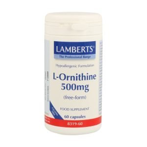 L-Ornitina 500 mg en forma libre. Aminoácido no esencial – Lamberts