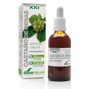 EXTRACTO DE CASTAÑO DE INDIAS S. XXI – Soria Natural