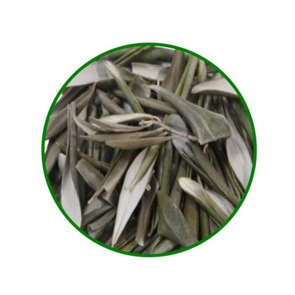 OLIVO (60gr) - Herbolarios Doemi