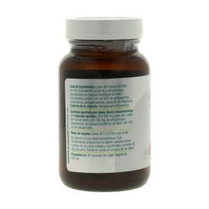 Reishi Forte – 60 cáps. – El Granero Integral