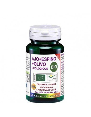 Ajo Espino Olivo Ecológicos Bio (60 Cápsulas) - Robis