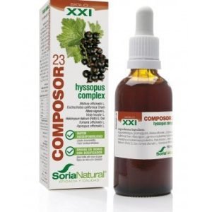 COMPOSOR 23 – HYSSOPUS COMPLEX S. XXI – Soria Natural