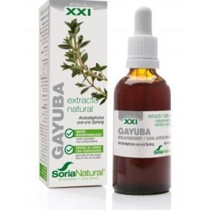 EXTRACTO DE GAYUBA S. XXI – Soria Natural
