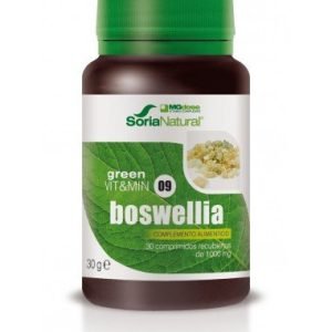 GREEN VIT&MIN 09 BOSWELIA – Soria Natural