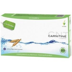L-CARNITINE – Novadiet