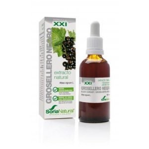 EXTRACTO DE GROSELLERO NEGRO S. XXI – Soria Natural