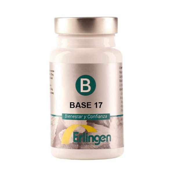 Base 17 - Erlingen