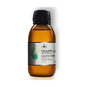 Aceite Esencial Eucalipto Citriodora (100 ml.) – Terpenic