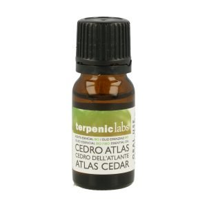 Aceite Esencial Cedro Atlas Bio (10 ml.) – Terpenic