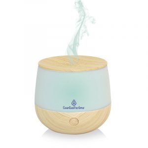 Humidificador  Esential’Mist – Esential Aroms