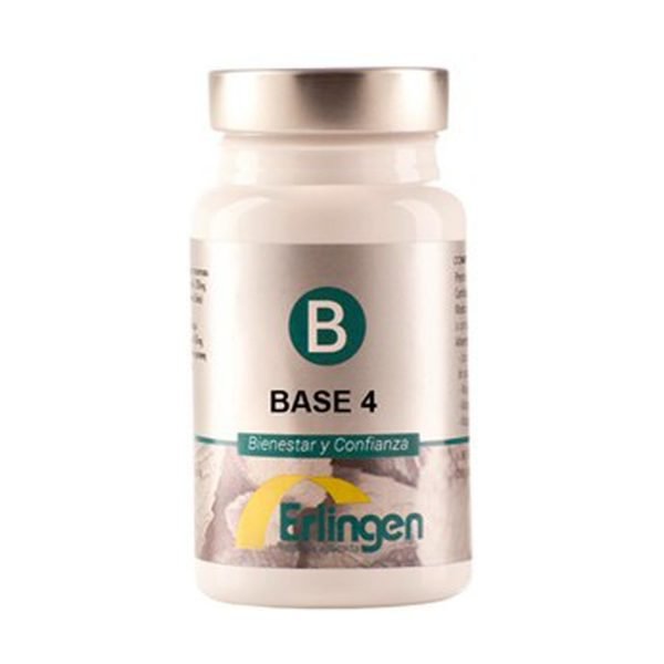 Base 4 - Erlingen