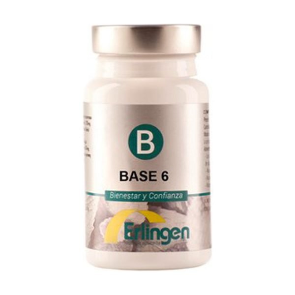 Base 6 - Erlingen
