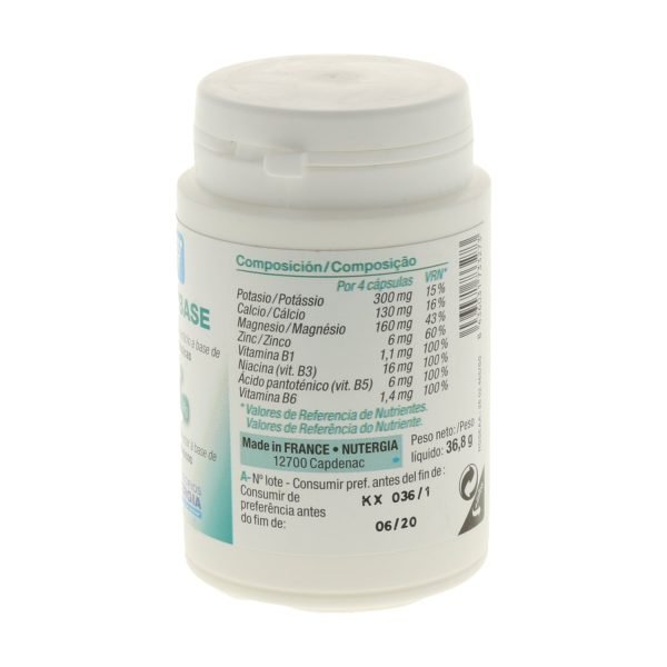 ErgyBASE - Nutergia - Imagen 2