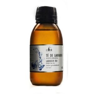 Aceite Esencial Té de Labrador (30 ml.) – Terpenic