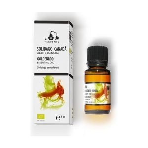 Aceite Esencial Solidago de Canadá Bio (5 ml.) – Terpenic