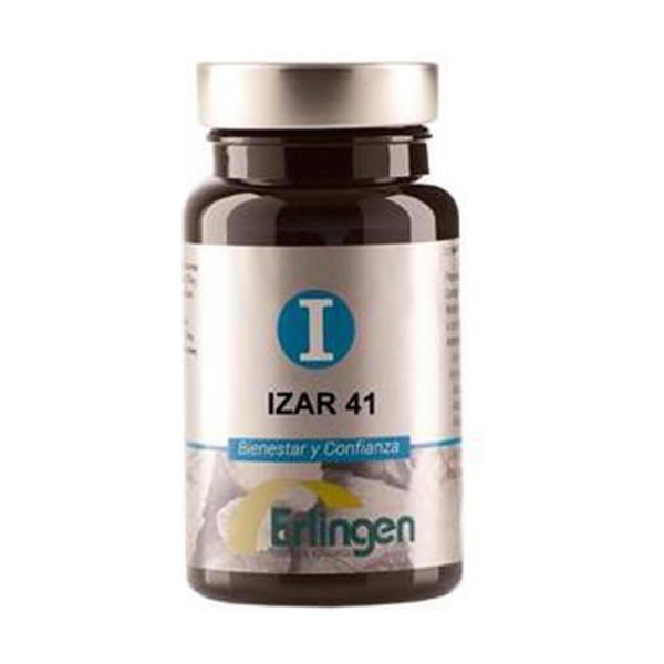 Izar 41 - Erlingen