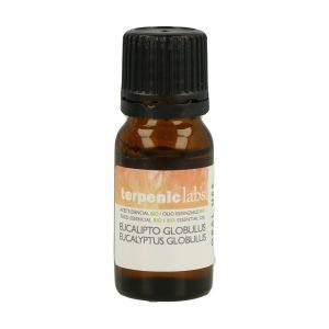 Aceite Esencial Eucaliptus Globulus Bio (10 ml.) – Terpenic
