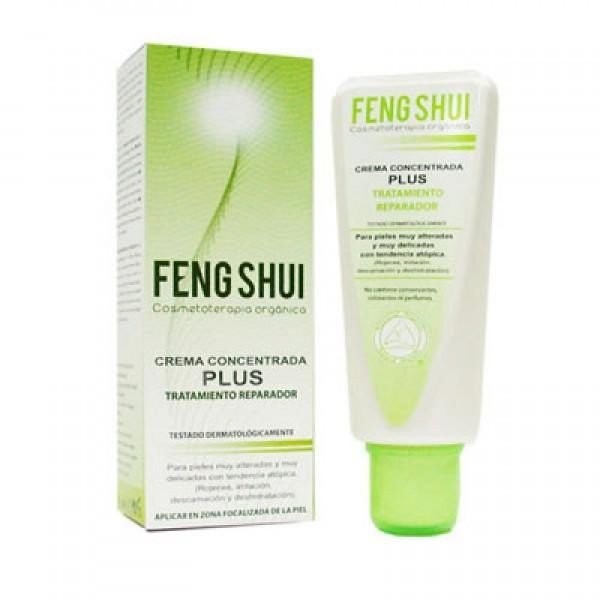 CREMA CONCENTRADA PLUS - Feng Shui