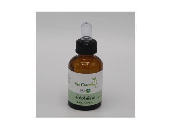 Árbol de Té - Bio Cosecha