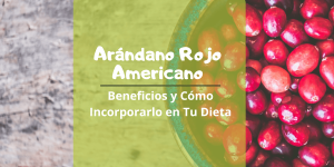 Lee más sobre el artículo Arándano Rojo Americano: Beneficios y Cómo Incorporarlo en Tu Dieta