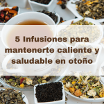 5 Infusiones para Mantenerte Caliente y Saludable en Otoño | Blog Herbolarios Doemi