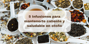 Lee más sobre el artículo 5 Infusiones para Mantenerte Caliente y Saludable en Otoño | Blog Herbolarios Doemi